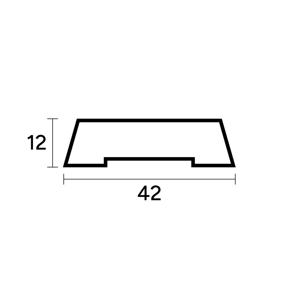 12 X 42 mm