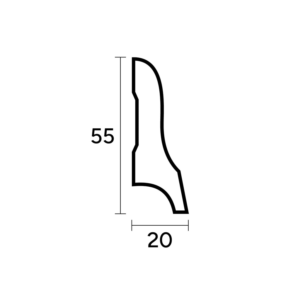 55 x 20 mm