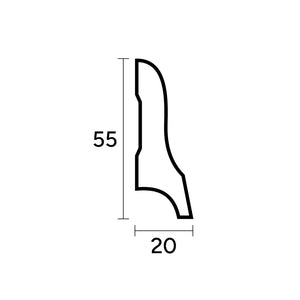 55 x 20 mm