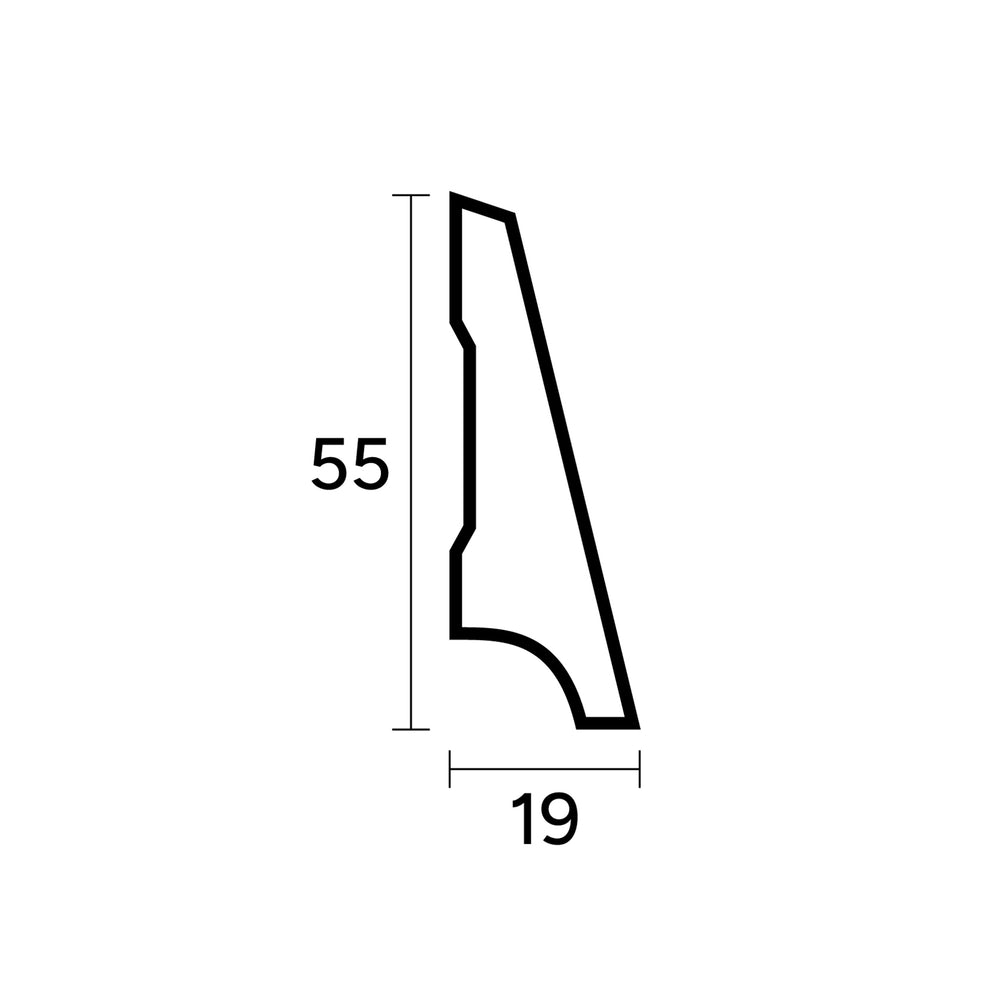 55 x 19 mm