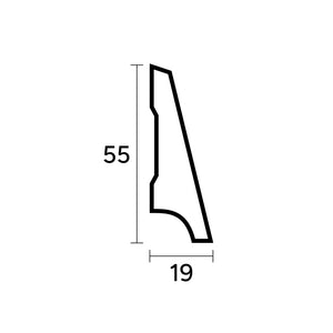 55 x 19 mm